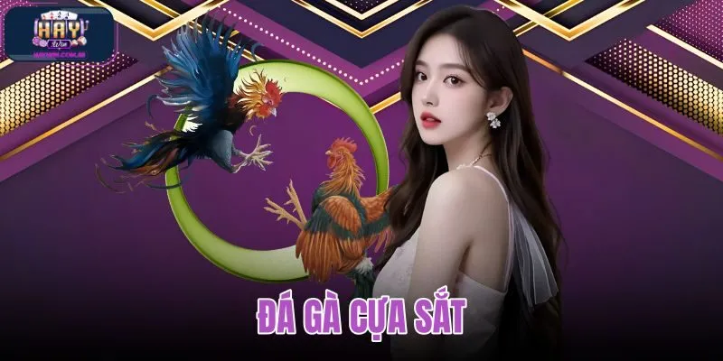 Đá gà cựa sắt