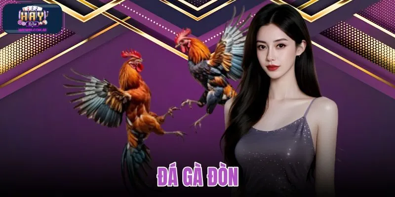 Đá gà đòn