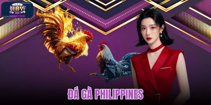 Đá gà Philippines