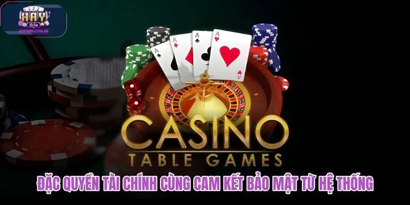 dac-quyen-tai-chinh-cung-cam-ket-bao-mat-tu-he-thong