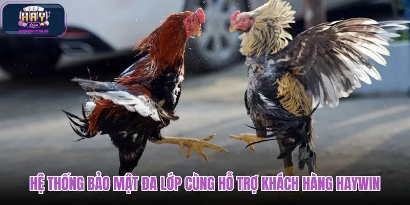 he-thong-bao-mat-da-lop-cung-ho-tro-khach-hang-haywin