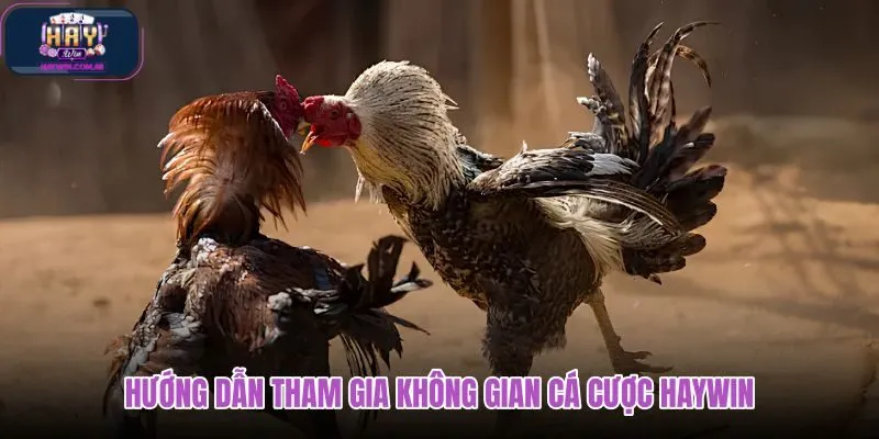 huong-dan-tham-gia-khong-gian-ca-cuoc-haywin