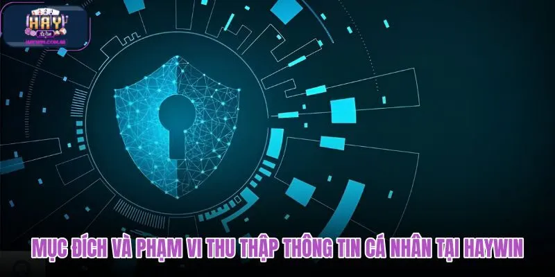 muc-dich-va-pham-vi-thu-thap-thong-tin-ca-nhan-tai-haywin muc-dich-va-pham-vi-thu-thap-thong-tin-ca-nhan-tai-haywin