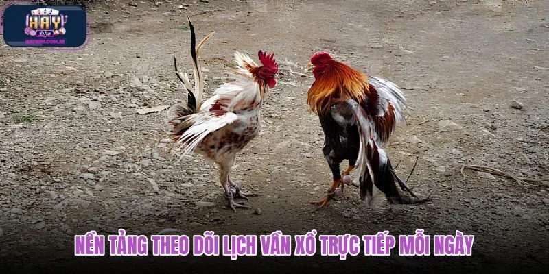 nen-tang-theo-doi-lich-van-xo-truc-tiep-moi-ngay