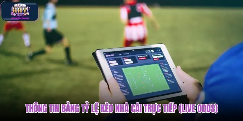 thong-tin-bang-ty-le-keo-nha-cai-truc-tiep-live-odds thong-tin-bang-ty-le-keo-nha-cai-truc-tiep-live-odds